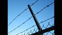 Options for Climate Policy Instructional Video