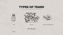 The Only Animal That Weeps Instructional Video