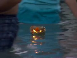 MS POV View of oil lamp floating on river Ganges  / Uttarakhand, India Stock Footage