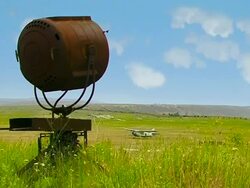 Spot looks at the Sky Stock Footage