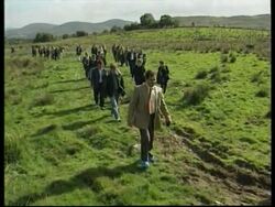 IRELAND: EU TO DISCUSS FUTURE OF BEEF INDUSTRY Instructional Video