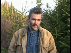 TALKING POINT Protected forests threatened by hunt for Xmas trees Instructional Video