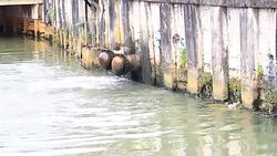 Waste water from pipe factory Stock Footage