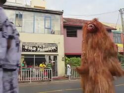 MS PAN TU TD Various dancers, performers and musicians parade in Seenigama annual Perahern parade in Buddhist procession AUDIO / Sinigama, Southern Province, Sri Lanka Stock Footage
