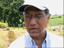 Rising food prices compete with the need to grow biofuels News Clip