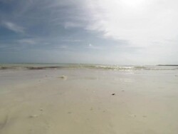 Zanzibar - Wave on the beach Stock Footage