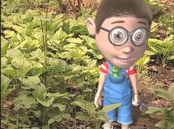 Bailey's Big Back Yard: Rainforest Adventure Instructional Video