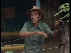 GUATEMALA: FLOODING KILLS AT LEAST 7; RED ALERT IN SOME AREAS News Clip