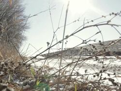 MS Car passing by rural street / Stillwater, Minnesota, United States  Stock Footage