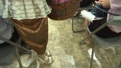 Thai couples get vitamins to halt falling birth rate Instructional Video