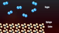 What Is Fire? Instructional Video