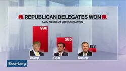 Sen. Gregg: Democratic Party Is Fractured and Socialist News Clip