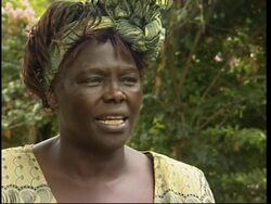 Profile of Wangari Maathai, Nobel Peace Prize winner News Clip