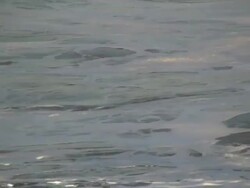 (HD1080i) Dangerous Seas Stock Footage