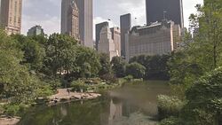 central park Stock Footage