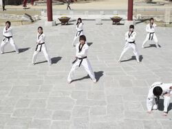 WS PAN TD Korean Martial arts group performing taekwondo  / Kyungkido, Bucheon, South Korea Stock Footage