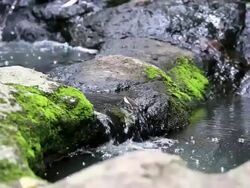Hiking Stock Footage