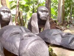 CU Shot of batwa hand carved and painted wooden gorilla statues and masks / kigez, kabale, uganda Stock Footage