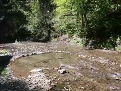 Dilijan national park, view of the river Stock Footage