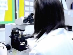 Looking Through a Microscope Stock Footage