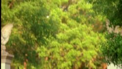 A boy listens to his mother's pregnant stomach. Stock Footage