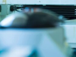 Test tubes in a shaker Stock Footage