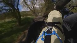 Hairy biker dog gets world's first four-legged Kevlar coat News Clip