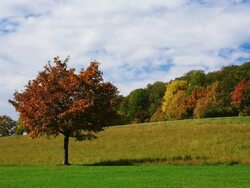 Landscape in autumn Stock Footage