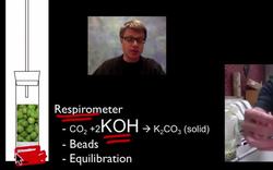 Cellular Respiration Lab Walkthrough Instructional Video