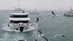 HD:Istanbul Stock Footage