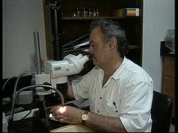 USA: SULPHUR CHIMNEYS RECOVERED FROM PACIFIC OCEAN News Clip