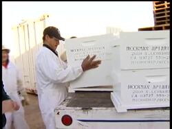 As if beekeepers in the United States didn't have enough problems dealing with a disease that has been devastating their bee colonies, now they're complaining thieves are stealing their precious insects Instructional Video