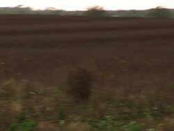 MS TS Shot of tumble weed rolls across field toward storm / Texas, United States Stock Footage