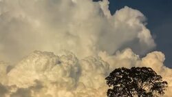 Sky and clouds Stock Footage