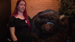 CLEAN: New York hosts annual taxidermy contest News Clip