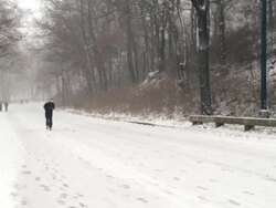 WS Man running up hill in Central Park during snow storm / New York City, New York, USA Stock Footage