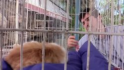 Shelter cares for border animals Instructional Video