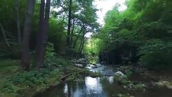 Flight above the forest river Stock Footage