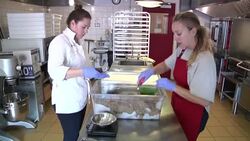 Growing appetite for edible insects News Clip