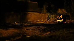 jack-o'-lantern, holloween Stock Footage