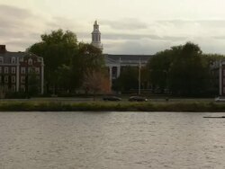  WS Rowing team gliding along  river located on  harvard campus / Cambridge, Massachusetts, United States Stock Footage