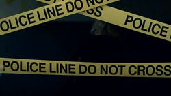 At the crime scene Stock Footage