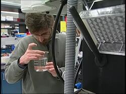 Researchers develop malaria-resistant mosquito News Clip