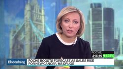 Roche CEO Schwan on Profit Forecast, Drug Pipeline News Clip