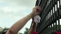 CLEAN : Algeria love locks on a bridge to fight in News Clip