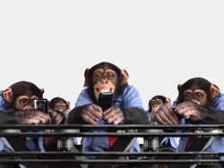 Mobile Phone Monkey Group Stock Footage