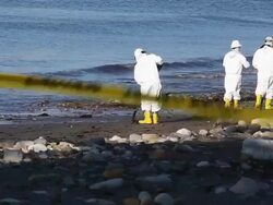 California Declares State Of Emergency As Oil Spill Harms Pristine Coastline Stock Footage