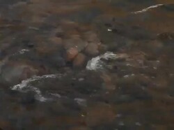 CU Shot of rushing water / Ocean Shores, Washington, United States Stock Footage