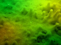 Toxic Water Stock Footage