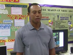 WireImage Entertainment Report: 10/19/09 Stock Footage